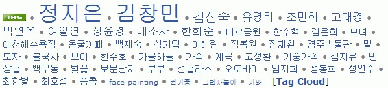 tag cloud 1.gif 꼬리표구름(Tag Cloud) 표현방식을 생각해보다...